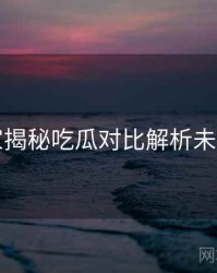 老玩家揭秘吃瓜对比解析未来蓝图