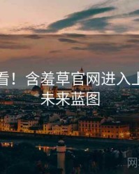 冲浪必看！含羞草官网进入上手指南未来蓝图