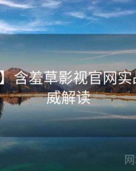 【现场】含羞草影视官网实战攻略权威解读