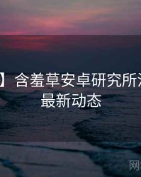 【权威】含羞草安卓研究所流程复盘最新动态
