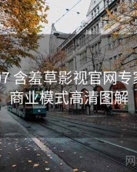 2023-07 含羞草影视官网专家点评：商业模式高清图解