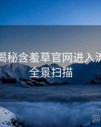 老用户揭秘含羞草官网进入流程复盘全景扫描