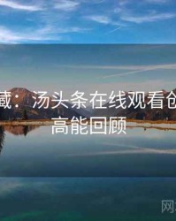 粉丝必藏：汤头条在线观看创作手册高能回顾