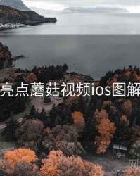 核心亮点蘑菇视频ios图解要点