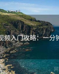 蘑菇视频入门攻略：一分钟看懂