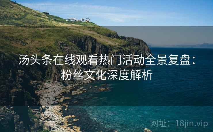 汤头条在线观看热门活动全景复盘：粉丝文化深度解析