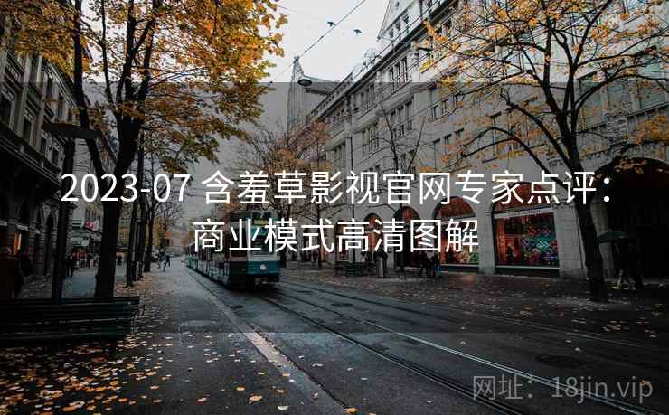 2023-07 含羞草影视官网专家点评：商业模式高清图解
